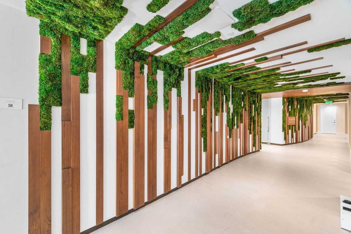 Interior, Wooden Beams