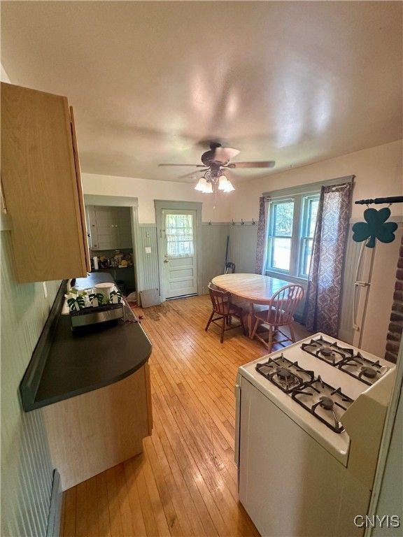 Dining room, Interior, Kitchen, Wood Texture Flooring
