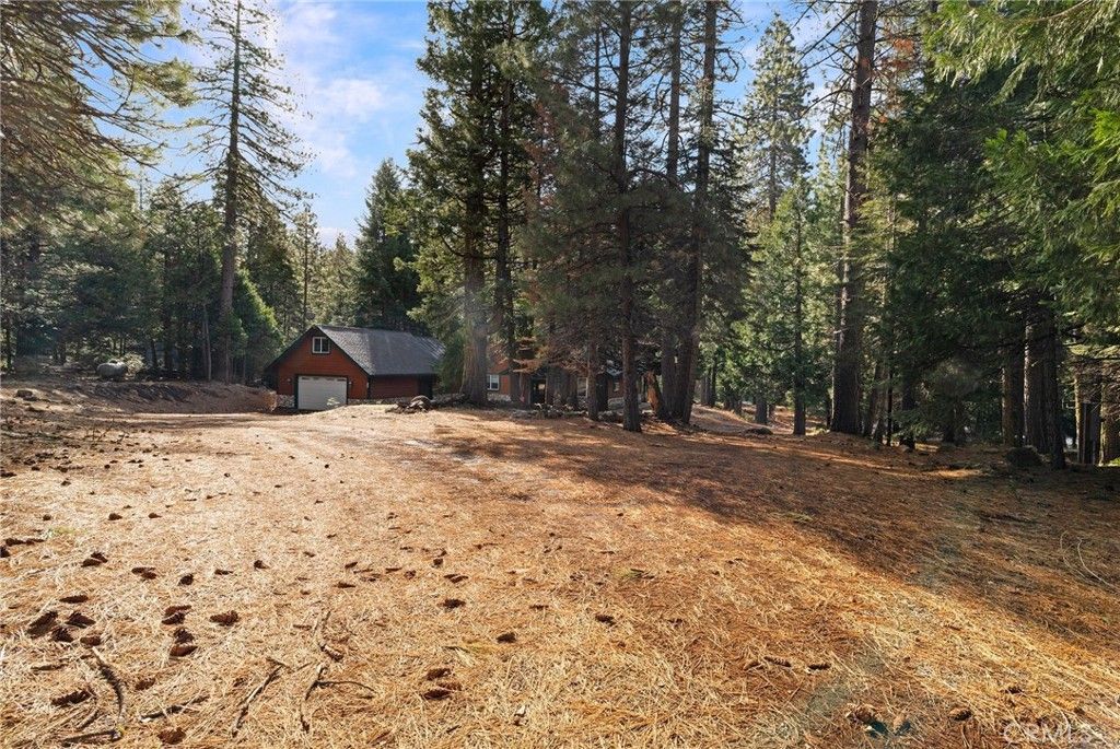 Backyard, Detached Garage, Exterior