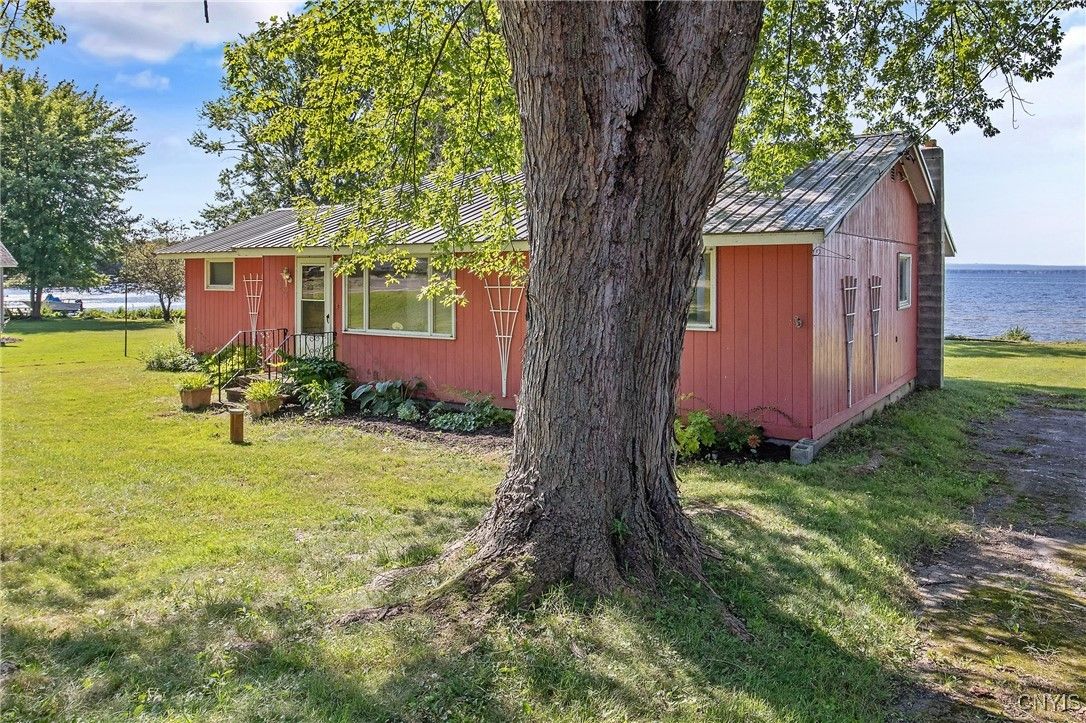 Backyard, Exterior, Water