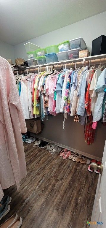 Interior, Walk-in Closets, Wood Texture Flooring