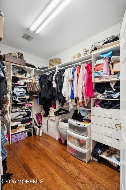 Interior, Walk-in Closets, Wood Texture Flooring