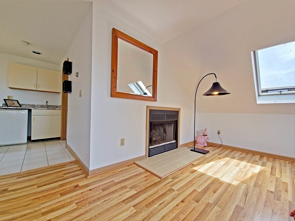 Fireplace, Interior, Washer, Wood Texture Flooring