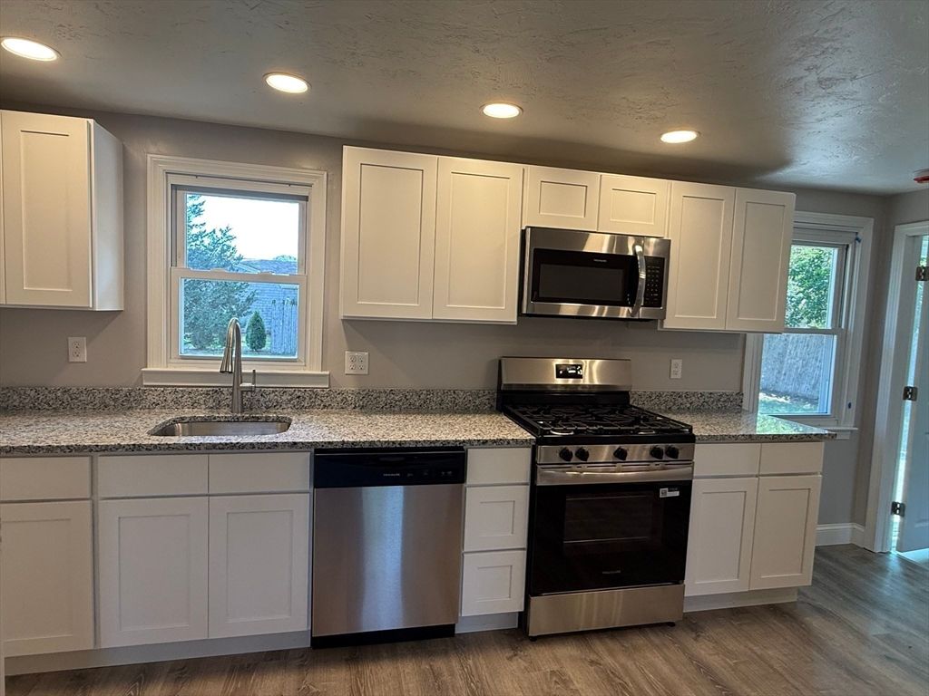 Interior, Kitchen, Recessed Lighting, Stainless Steel Appliances, Wood Texture Flooring