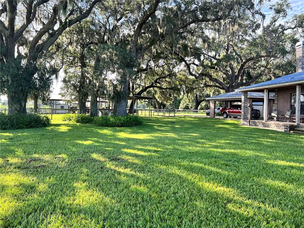 Backyard, Exterior