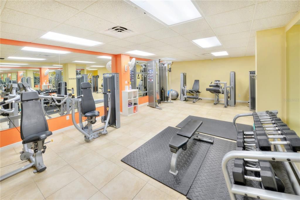 Fitness Equipment, Gym, Interior, Recessed Lighting