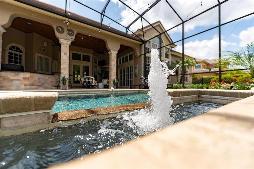Glass Ceilings, Interior, Pool, Sun Room