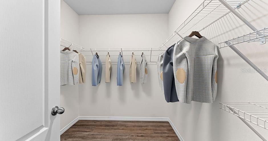 Interior, Walk-in Closets, Wood Texture Flooring