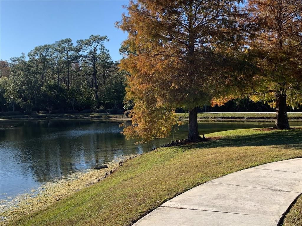 Exterior, Lake