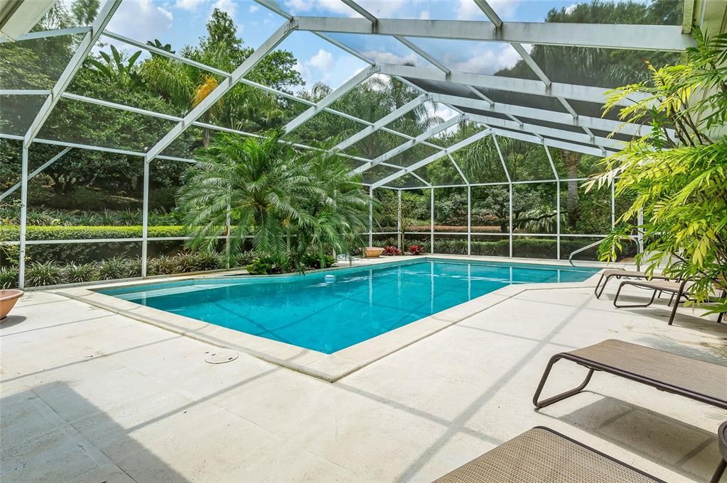 Glass Ceilings, Interior, Pool, Sun Room