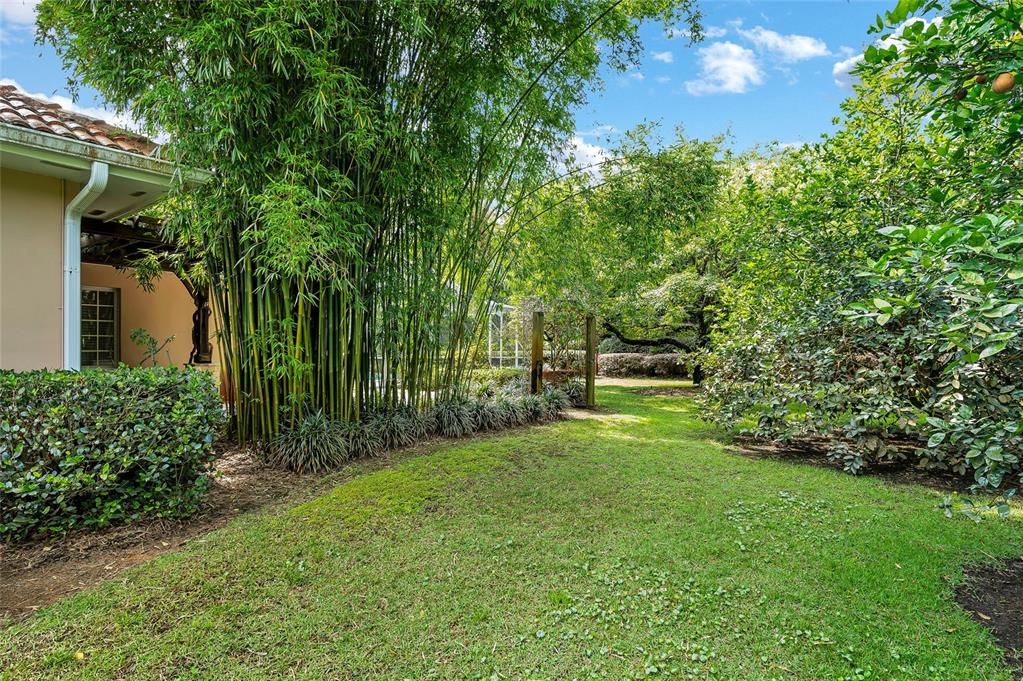 Backyard, Exterior