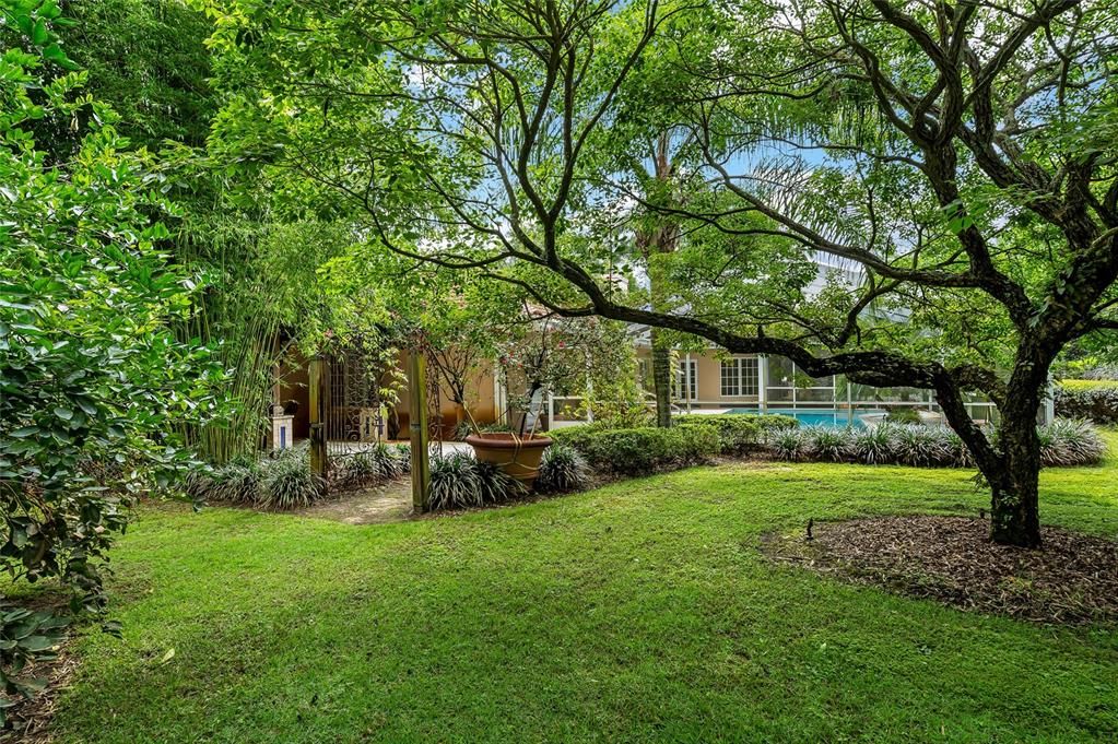 Backyard, Exterior
