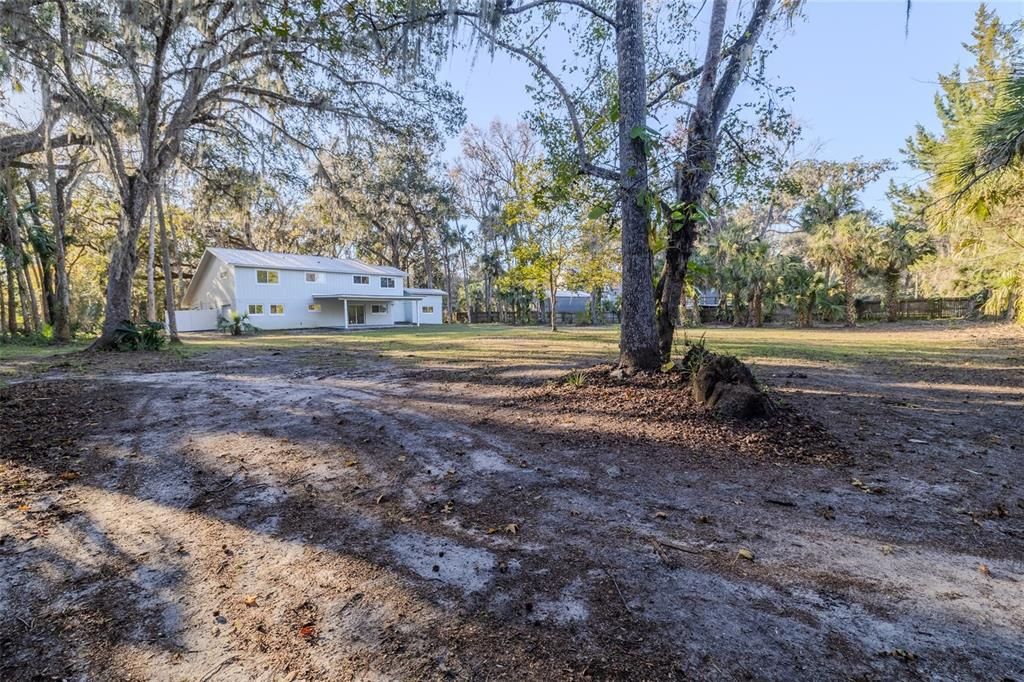 Backyard, Exterior