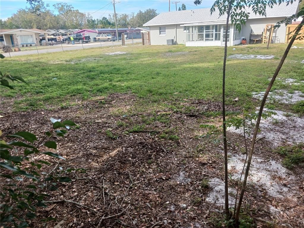 Backyard, Exterior