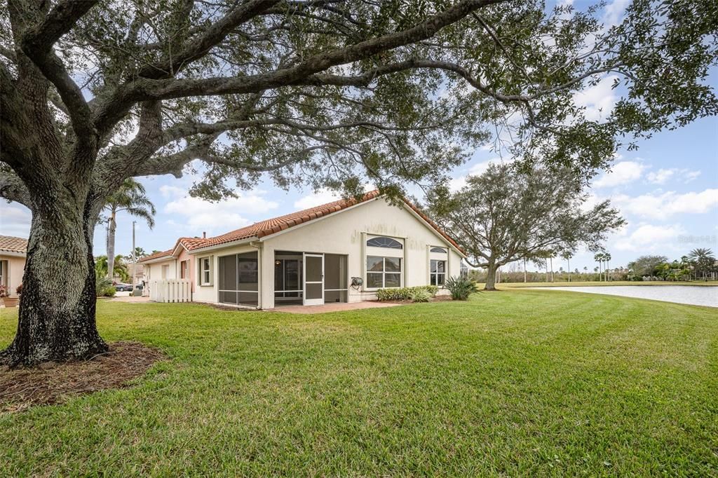 Backyard, Exterior, Water