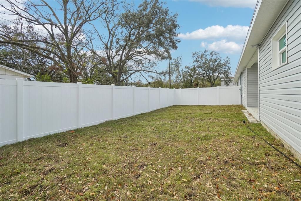 Backyard, Exterior