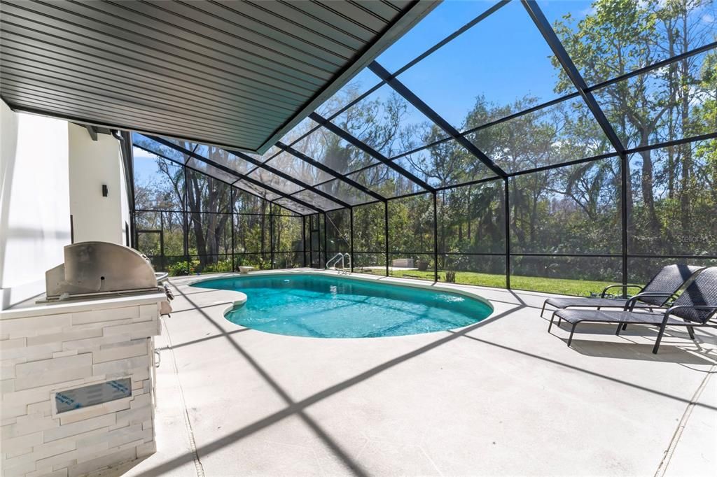 Glass Ceilings, Interior, Pool, Sun Room