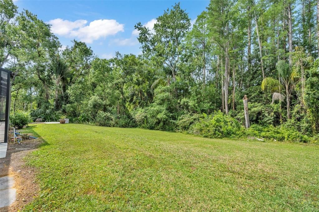 Backyard, Exterior