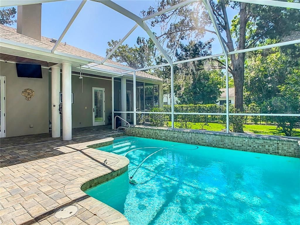 Glass Ceilings, Interior, Pool, Sun Room