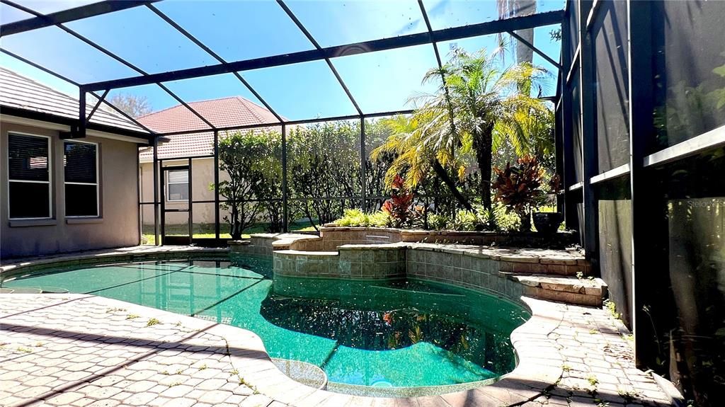 Glass Ceilings, Interior, Pool, Sun Room