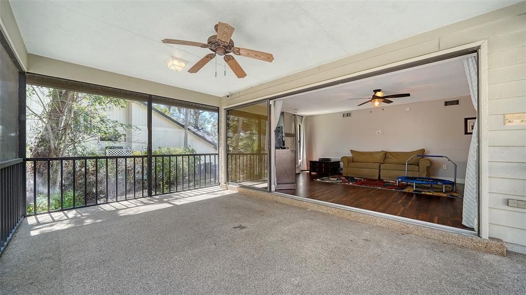 Interior, Sun Room, Wood Texture Flooring
