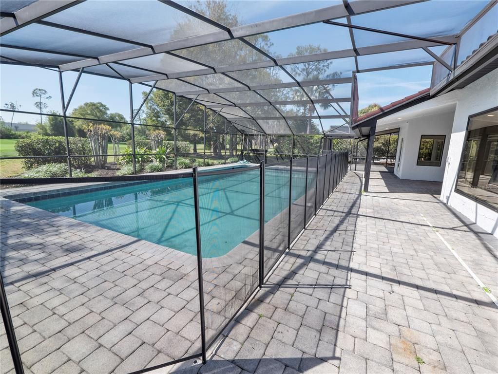 Glass Ceilings, Interior, Pool, Sun Room