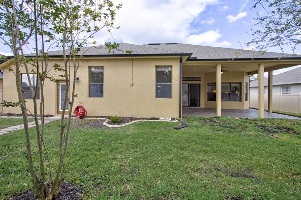 Backyard, Exterior