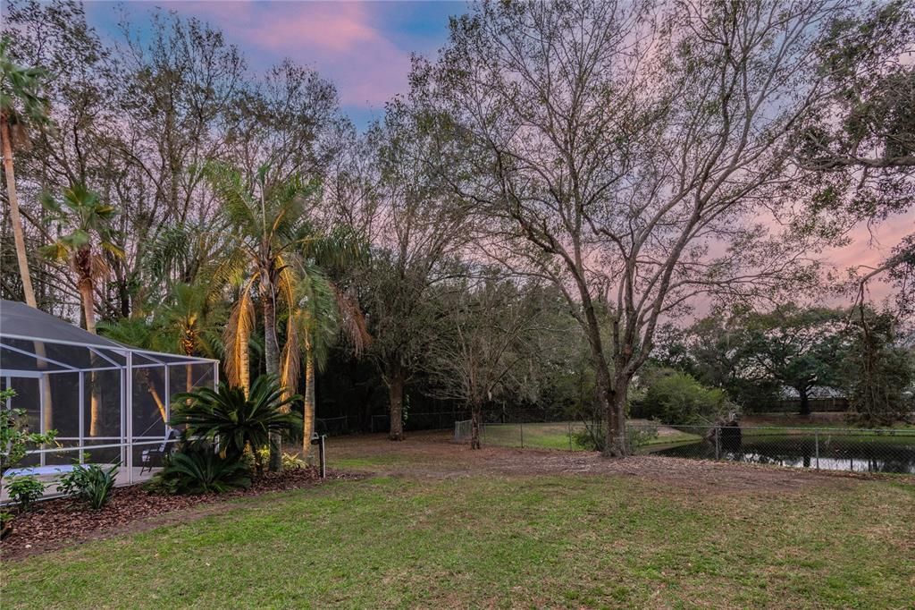 Backyard, Exterior