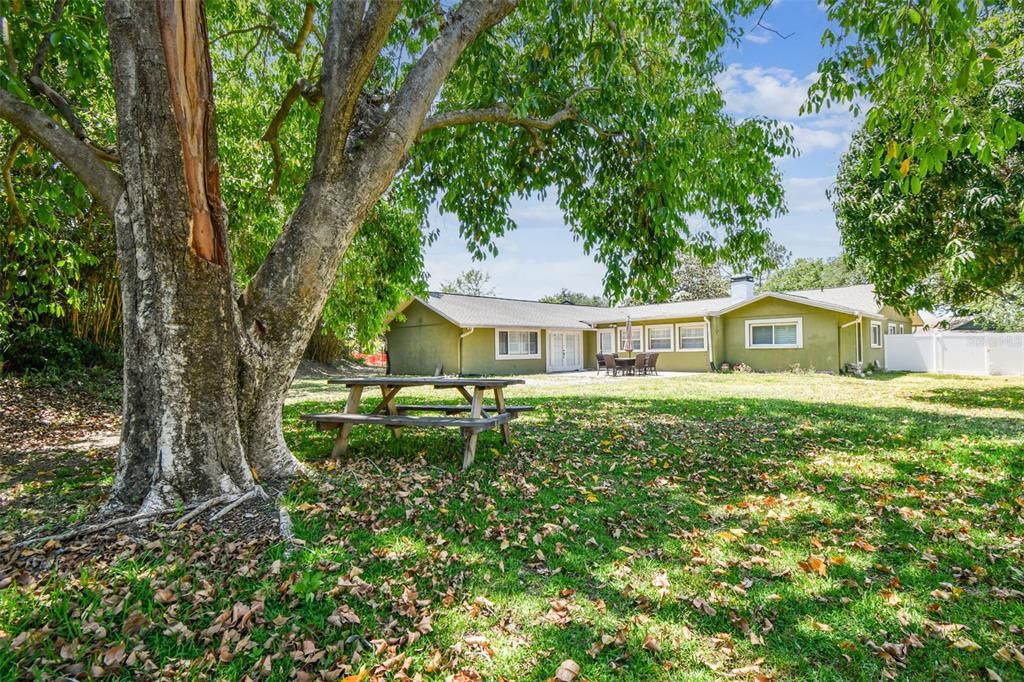 Backyard, Exterior
