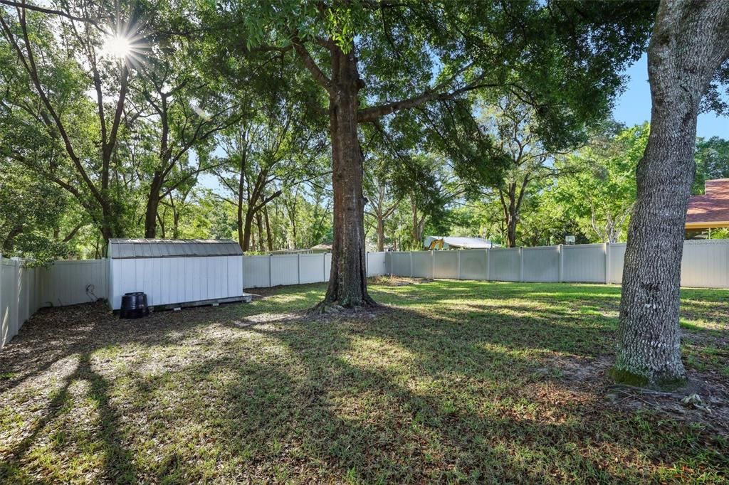 Backyard, Exterior