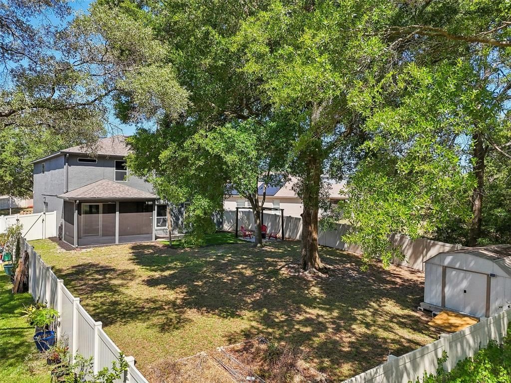 Backyard, Exterior