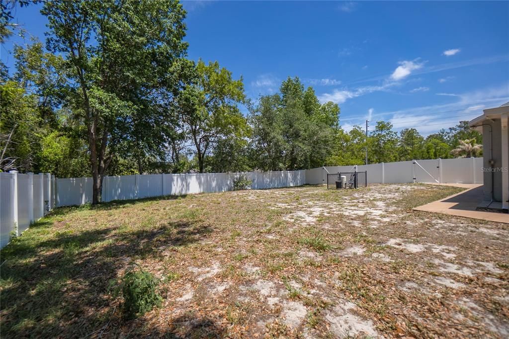 Backyard, Exterior