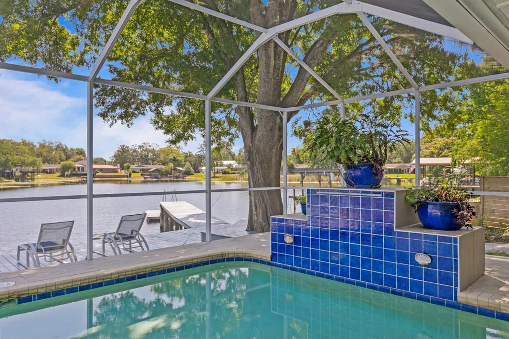 Glass Ceilings, Interior, Pool, Sun Room, Water