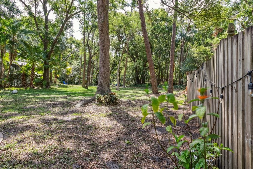 Backyard, Exterior