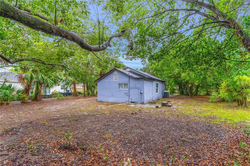 Backyard, Exterior