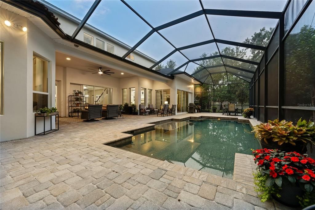 Glass Ceilings, Interior, Pool, Sun Room