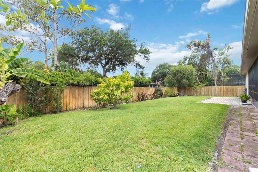Backyard, Exterior