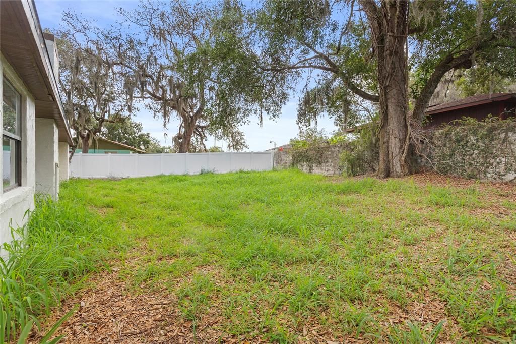 Backyard, Exterior