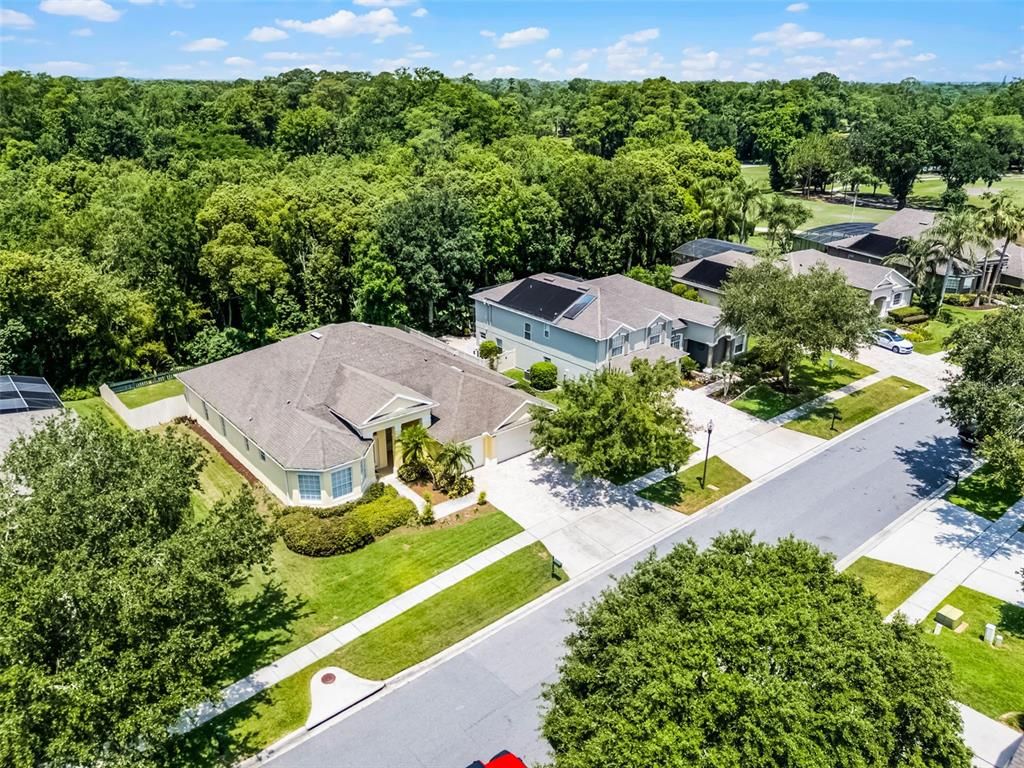 Exterior, Drone
