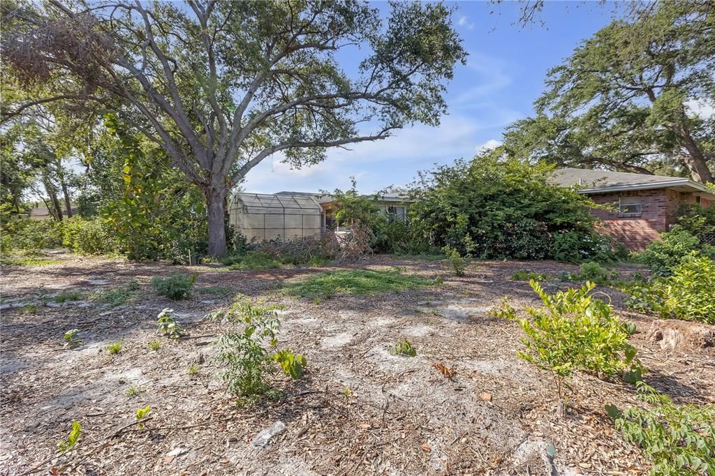 Backyard, Exterior