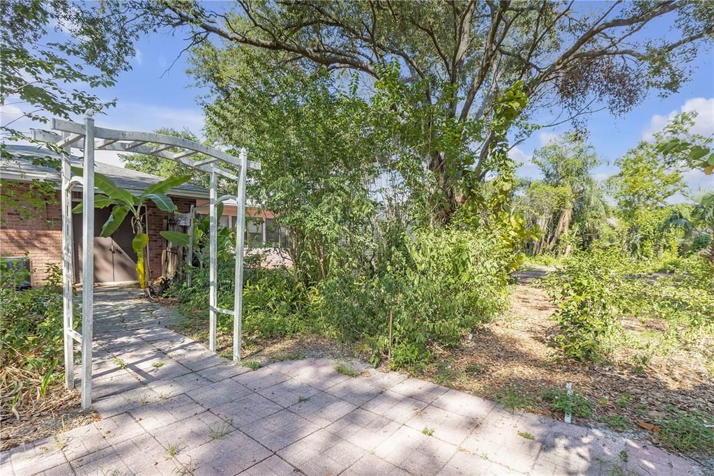 Backyard, Exterior