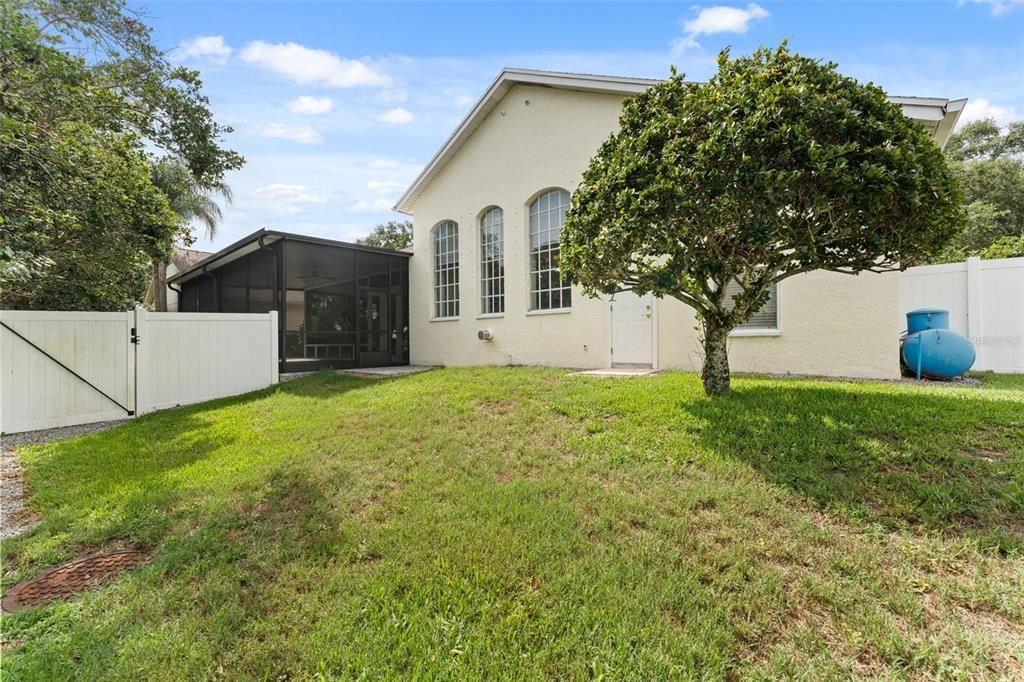 Backyard, Exterior