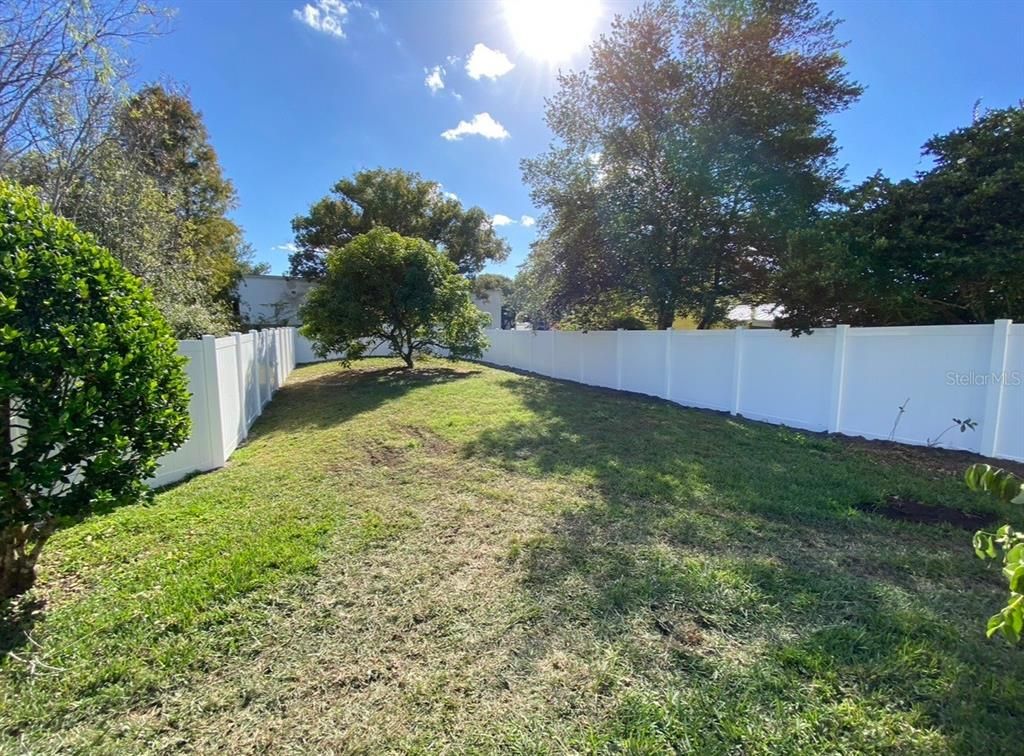 Backyard, Exterior