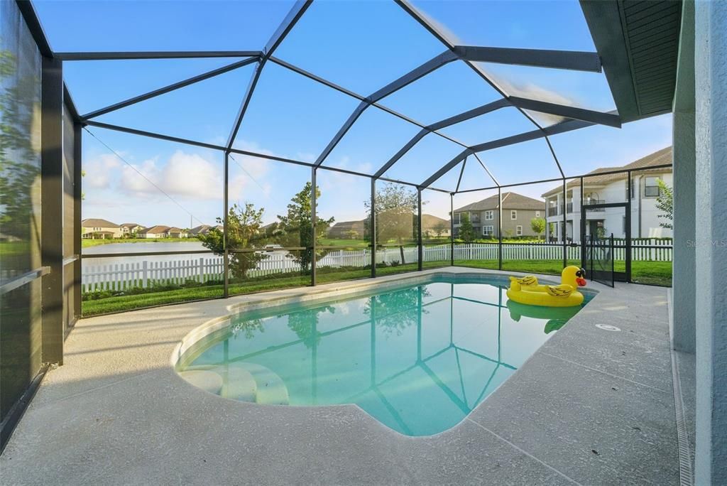 Glass Ceilings, Interior, Pool, Sun Room