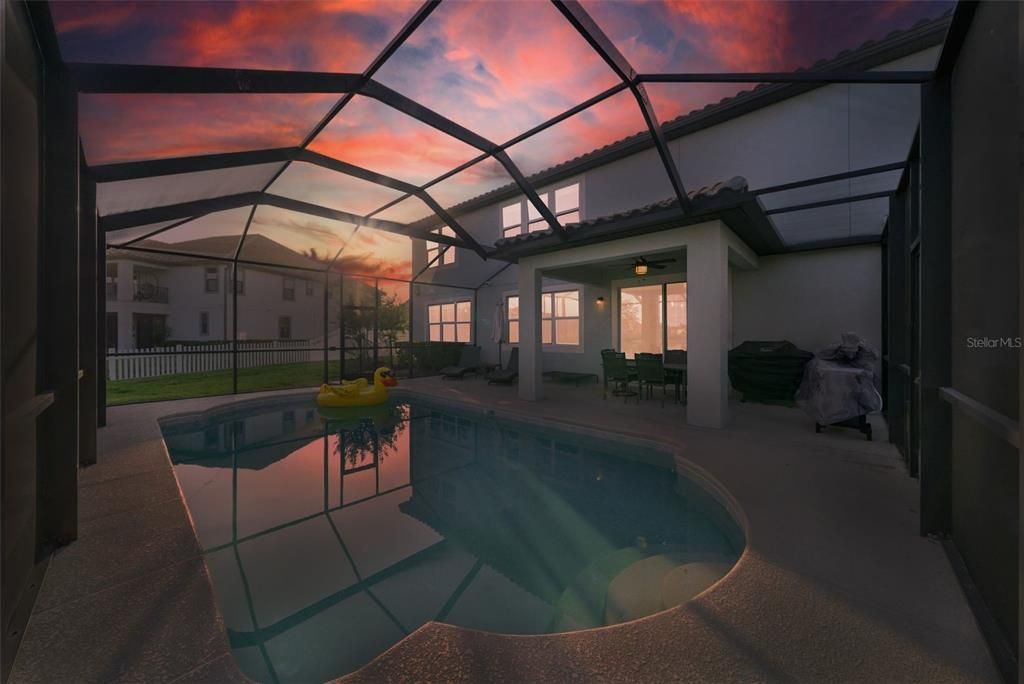 Glass Ceilings, Interior, Pool, Sun Room