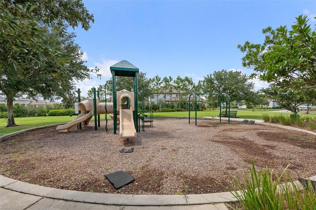 Backyard, Exterior, Playground