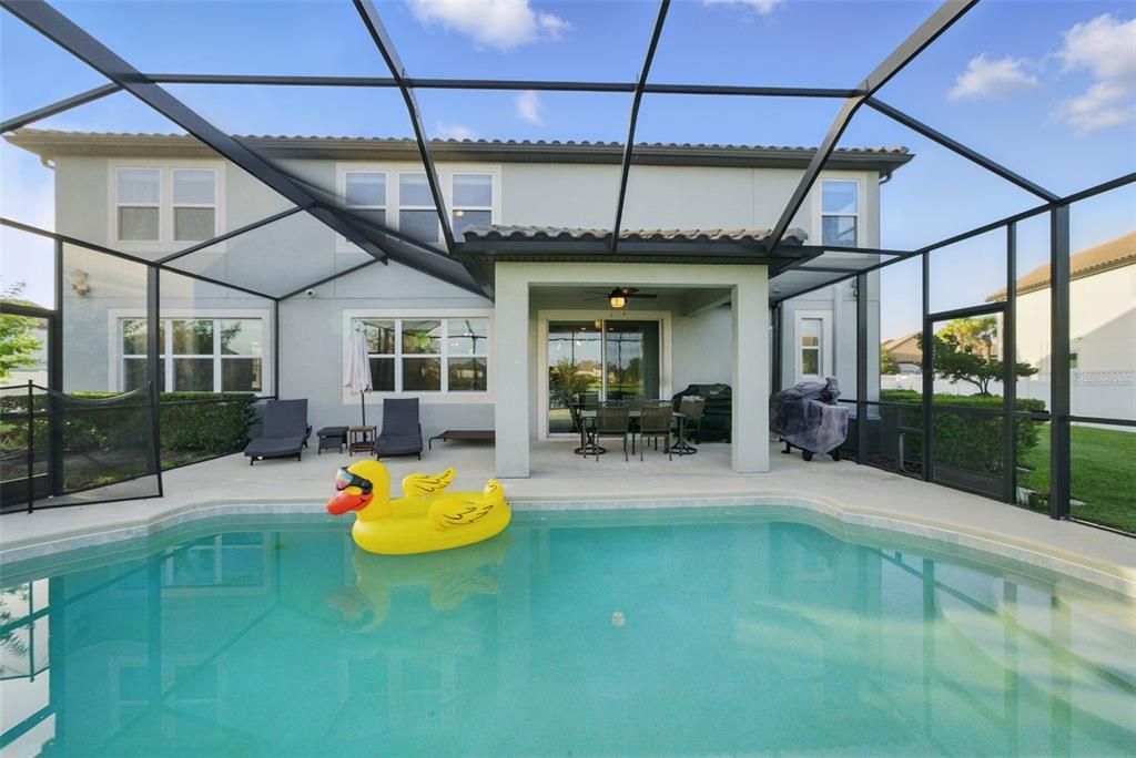 Glass Ceilings, Interior, Pool, Sun Room