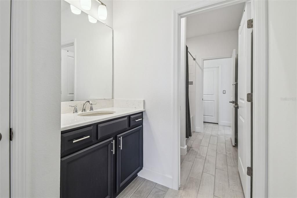 Bathroom, Interior, Wood Texture Flooring