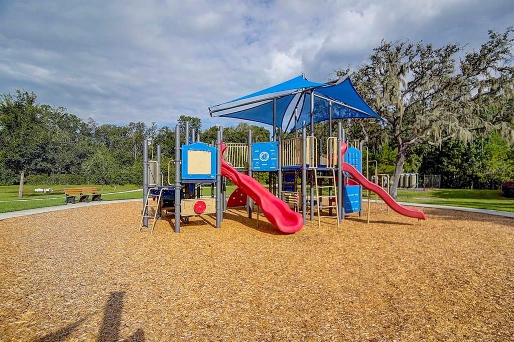 Backyard, Exterior, Playground