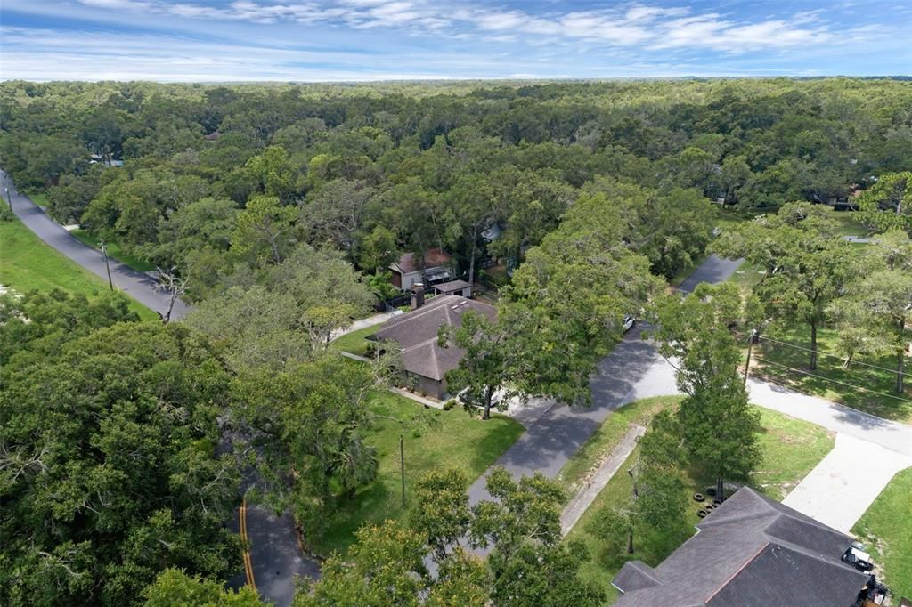 Exterior, Drone